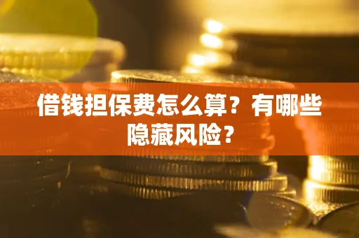 武汉借钱担保费怎么算？有哪些隐藏风险？