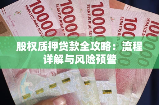 武汉股权质押贷款全攻略：流程详解与风险预警