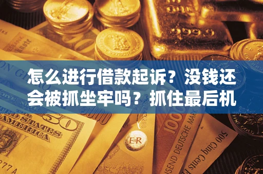 武汉怎么进行借款起诉？没钱还会被抓坐牢吗？抓住最后机会！