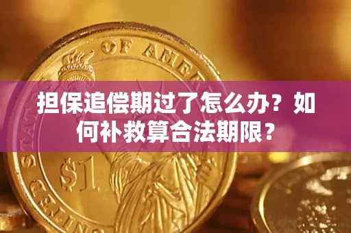 武汉担保追偿期过了怎么办？如何补救算合法期限？