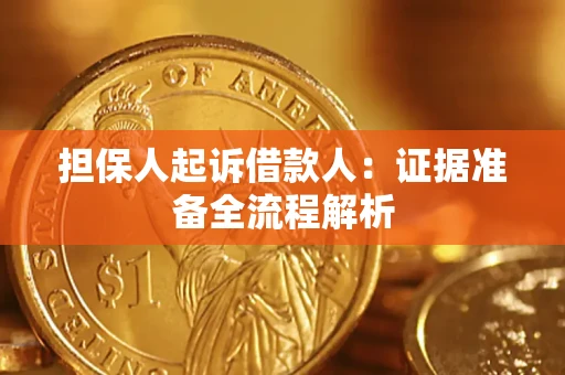 武汉担保人起诉借款人：证据准备全流程解析