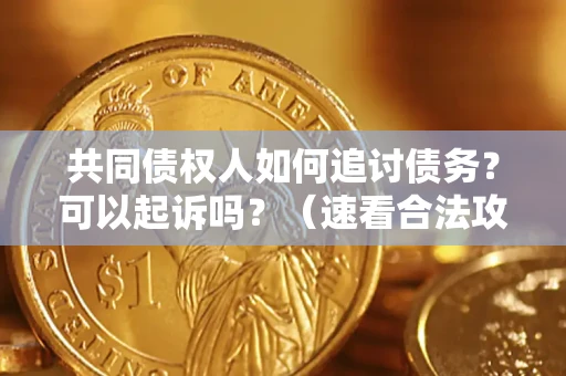 武汉共同债权人如何追讨债务？可以起诉吗？（速看合法攻略）