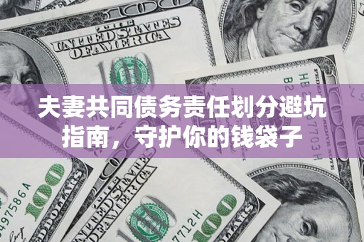 武汉夫妻共同债务责任划分避坑指南，守护你的钱袋子