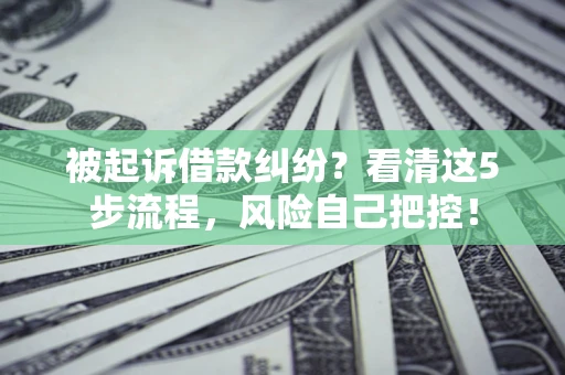 武汉被起诉借款纠纷？看清这5步流程，风险自己把控！