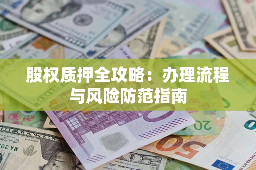 武汉股权质押全攻略：办理流程与风险防范指南