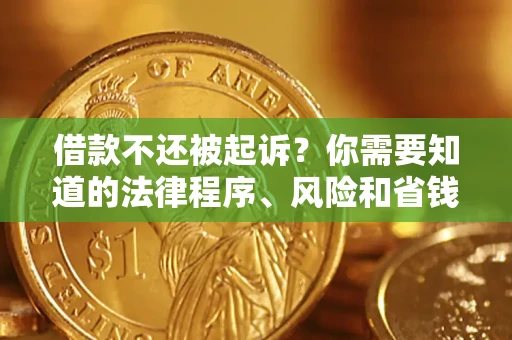 武汉借款不还被起诉？你需要知道的法律程序、风险和省钱技巧