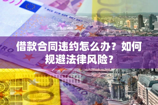 武汉借款合同违约怎么办？如何规避法律风险？